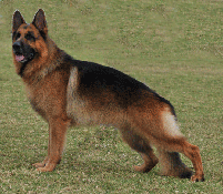 Benson